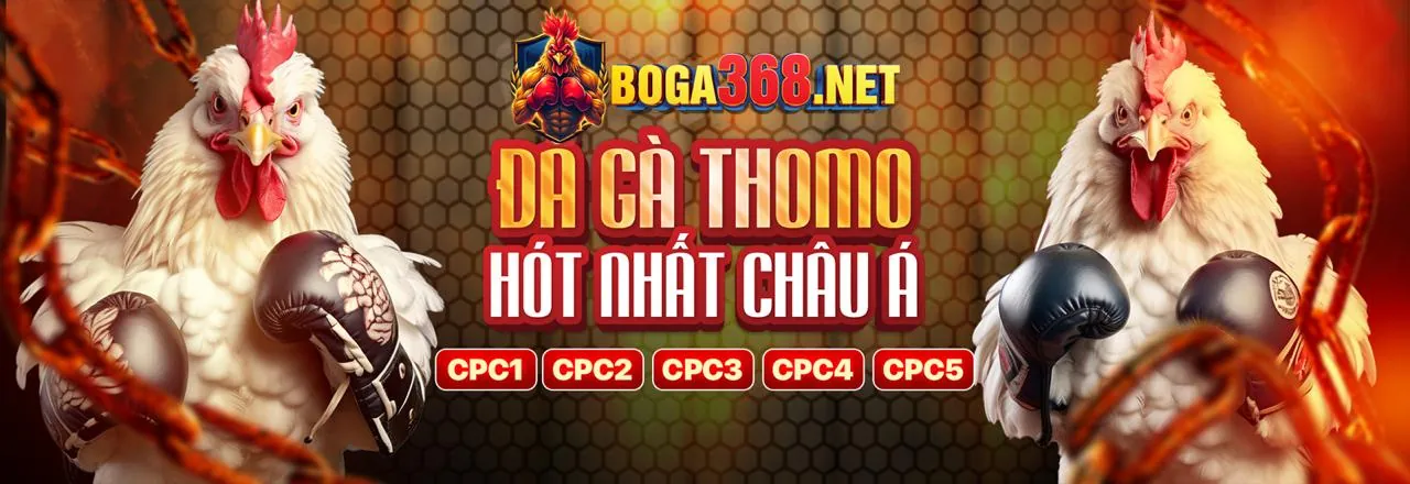 Đội ngũ hỗ trợ khách hàng chuyên nghiệp của ZZ888NOW